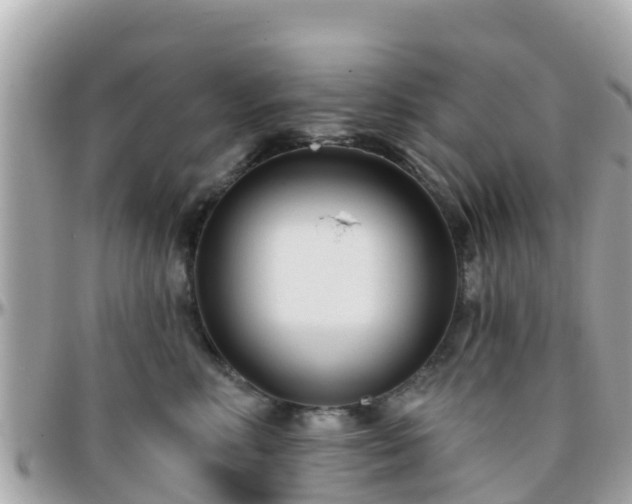 X0000096210618200801251036