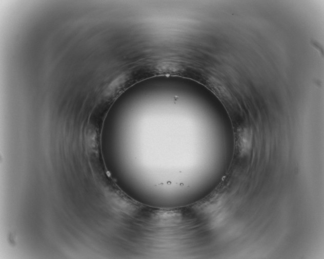 X0000096210619200801251036