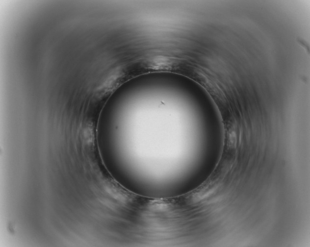 X0000096210620200801251036