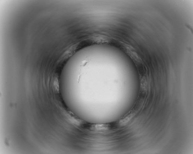 X0000096210622200801251036