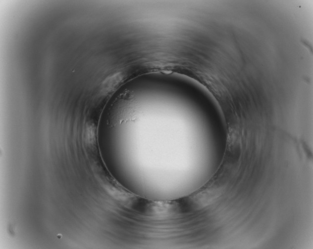 X0000096210623200801251036