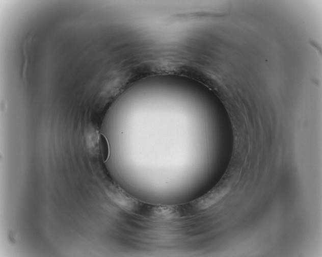 X0000096210624200801251036