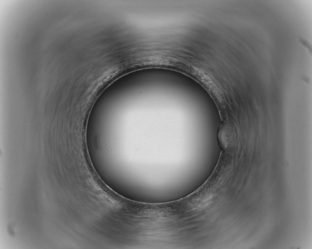 X0000096210625200801251035