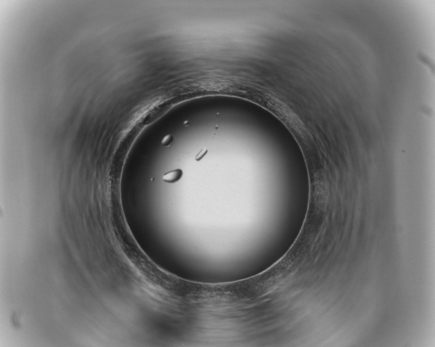 X0000096210626200801251035