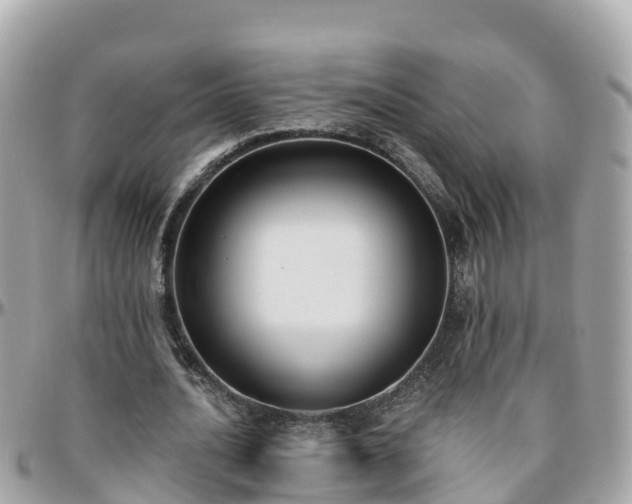 X0000096210628200801251035