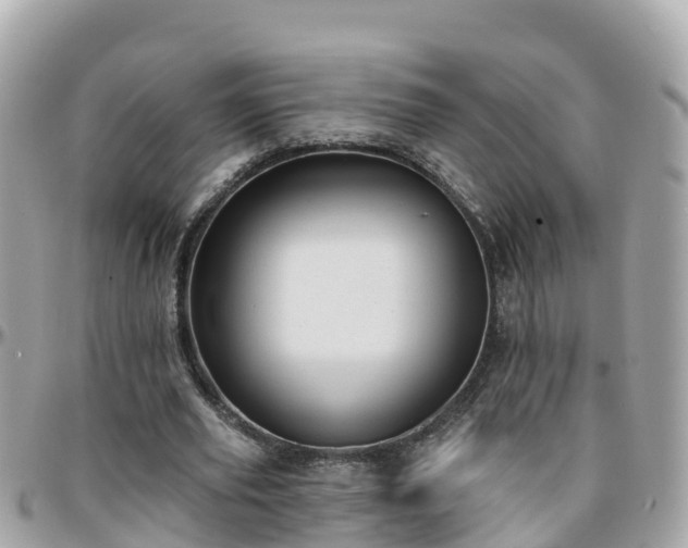 X0000096210629200801251035