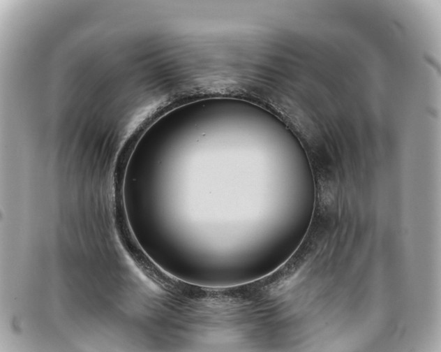 X0000096210630200801251035