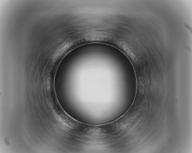 X0000096210631200801251035