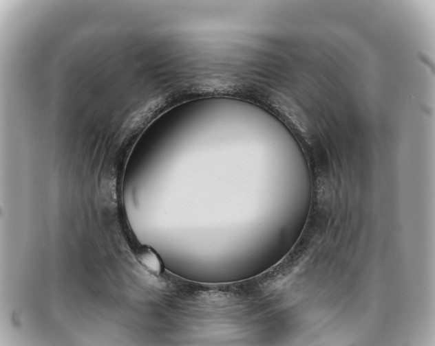 X0000096210633200801251035