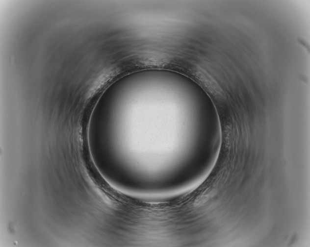 X0000096210634200801251035