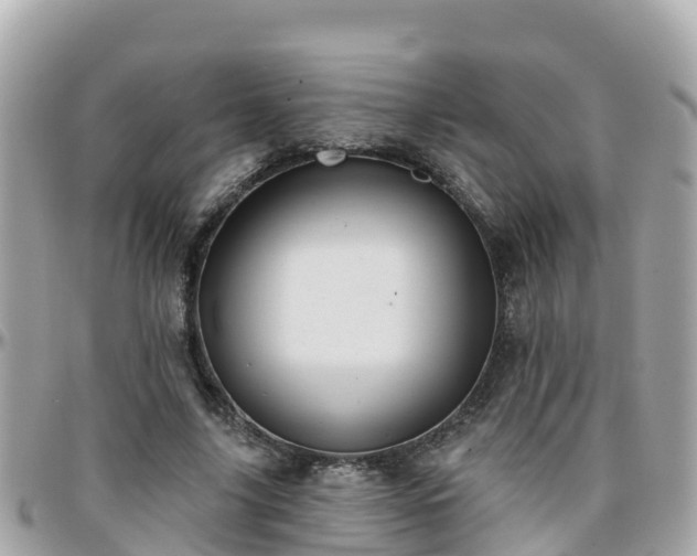 X0000096210635200801251035