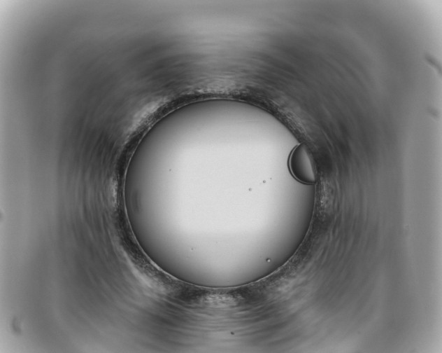 X0000096210636200801251035