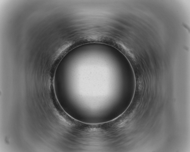 X0000096210637200801251035