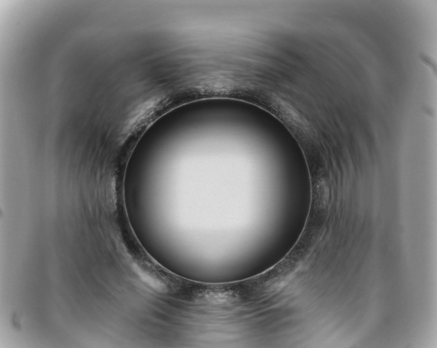 X0000096210638200801251035