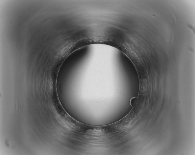 X0000096210639200801251035