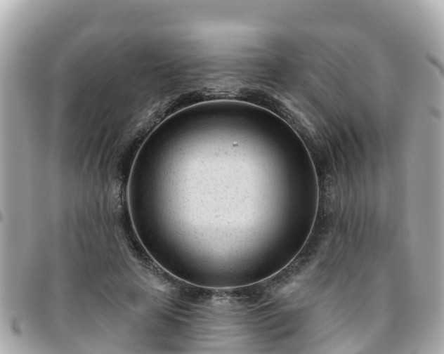 X0000096210641200801251035