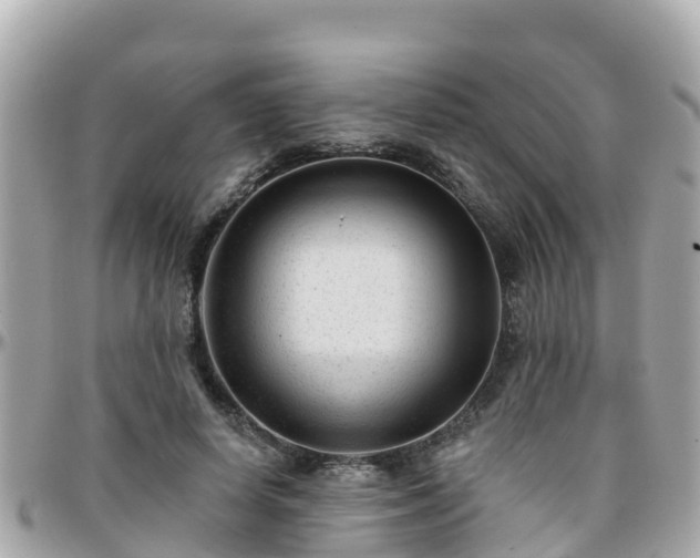 X0000096210642200801251035