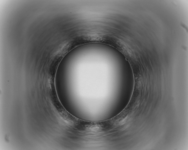 X0000096210643200801251035