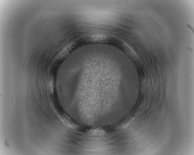 X0000096210644200801251035