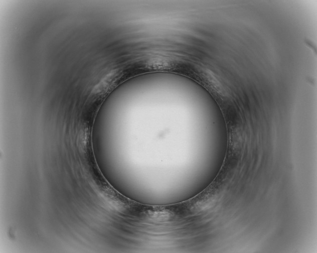 X0000096210645200801251035