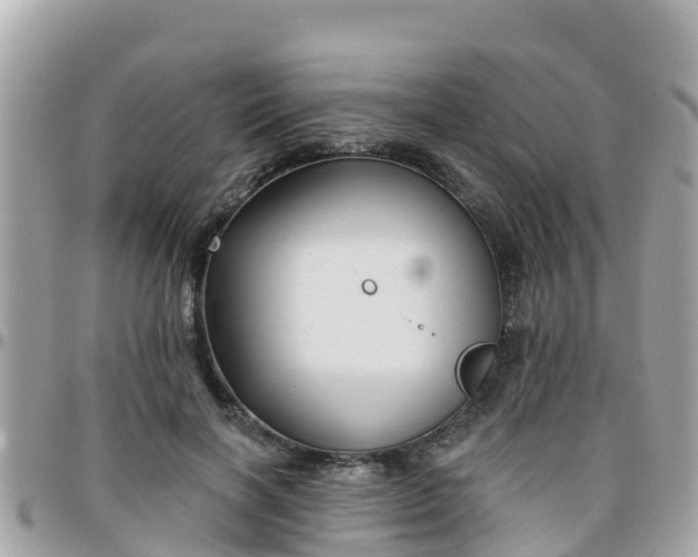 X0000096210646200801251035