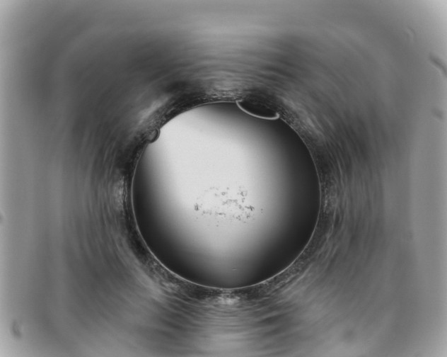 X0000096210647200801251035