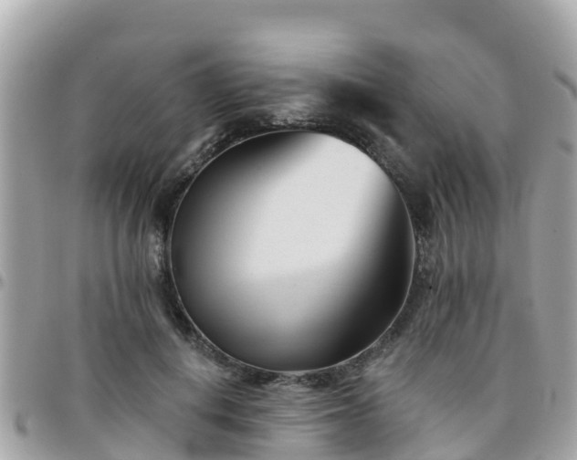 X0000096210648200801251035