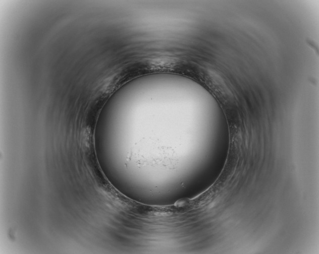 X0000096210649200801251035