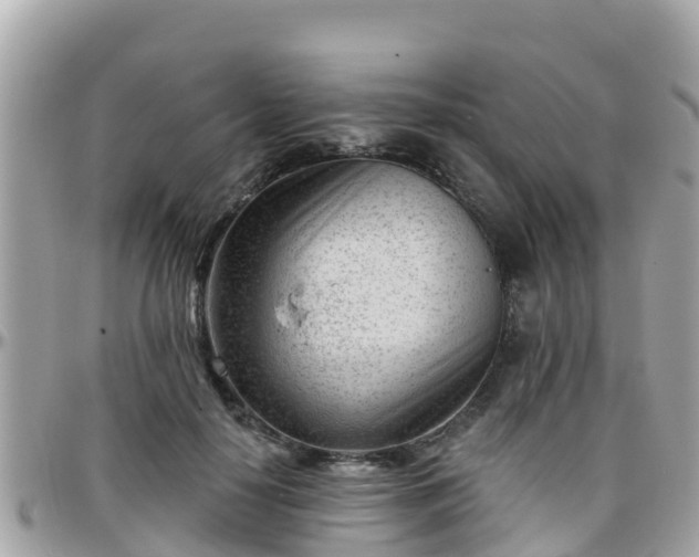 X0000096210650200801251035