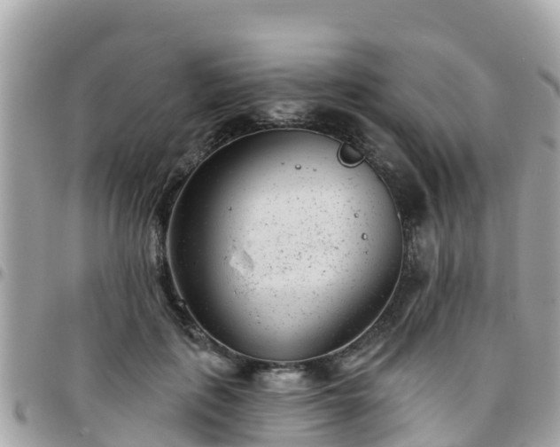 X0000096210651200801251035