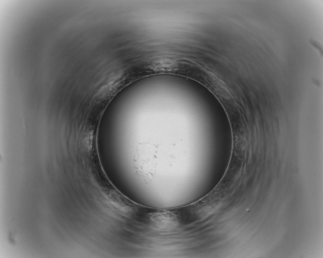 X0000096210652200801251035