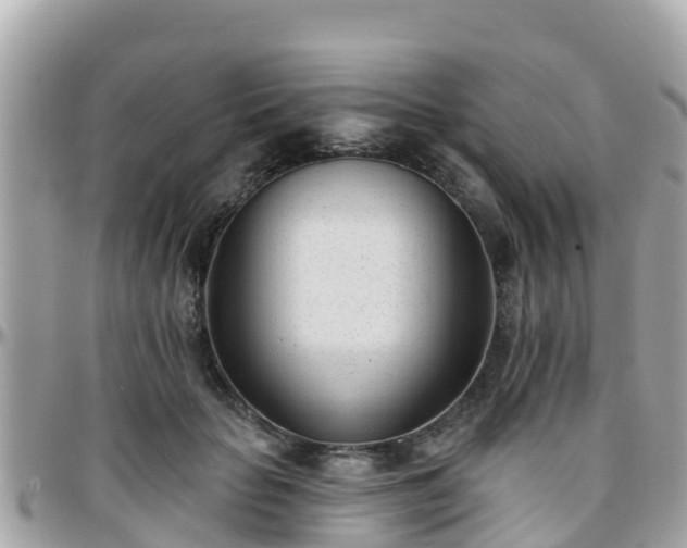 X0000096210653200801251035