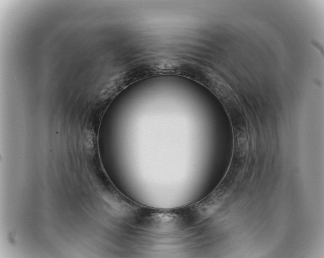 X0000096210654200801251036