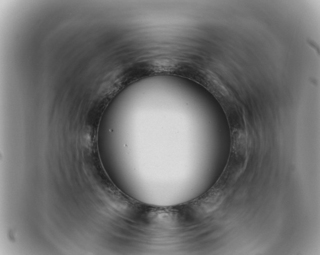 X0000096210655200801251036