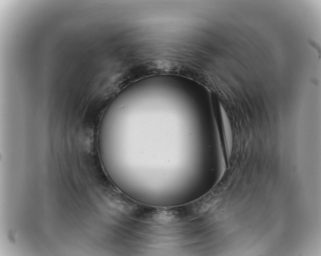 X0000096210656200801251036