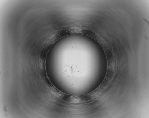 X0000096210658200801251036