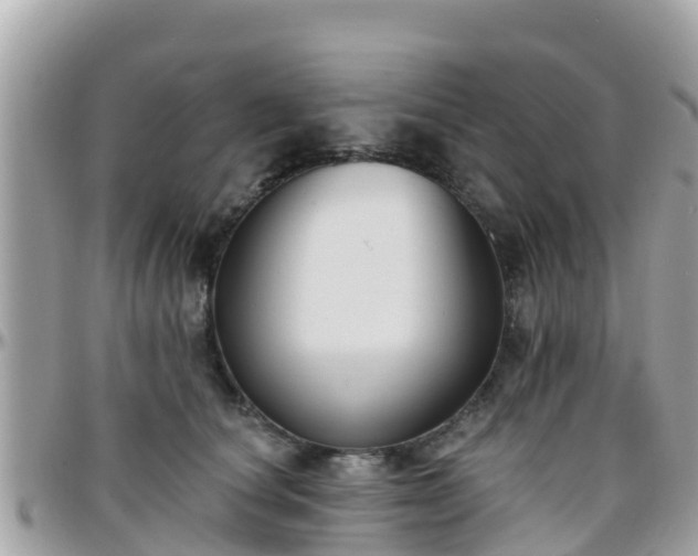 X0000096210660200801251036