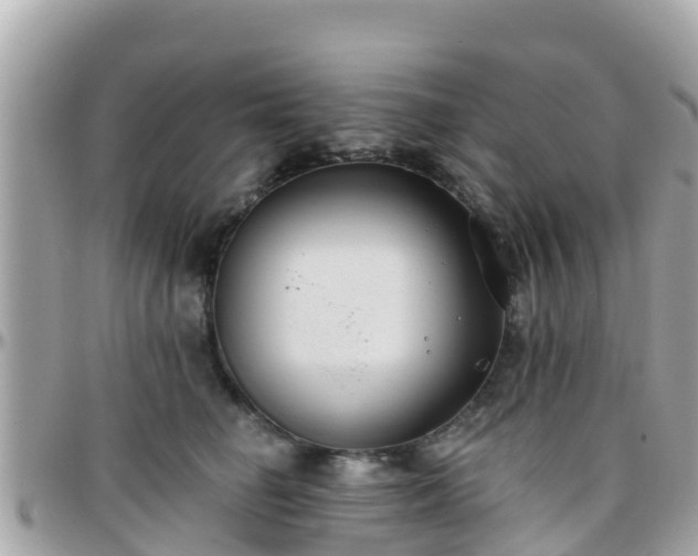 X0000096210662200801251036