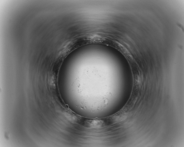 X0000096210663200801251036