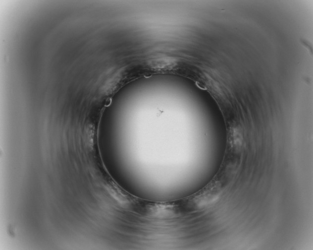 X0000096210664200801251036