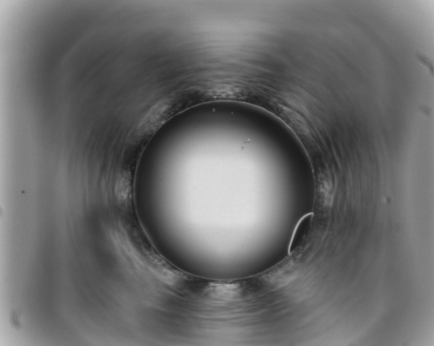 X0000096210665200801251036