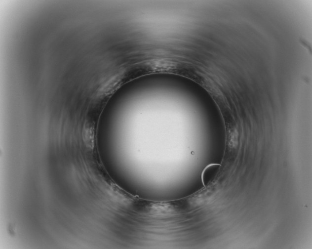 X0000096210666200801251036