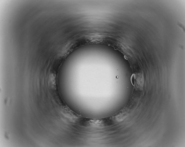 X0000096210667200801251036