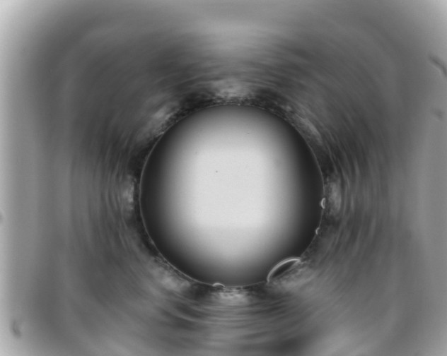 X0000096210668200801251036