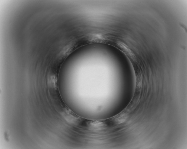 X0000096210669200801251036