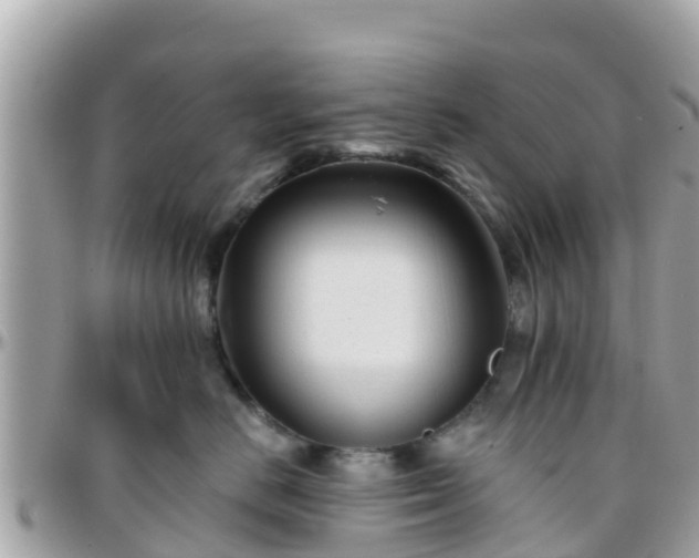 X0000096210670200801251036