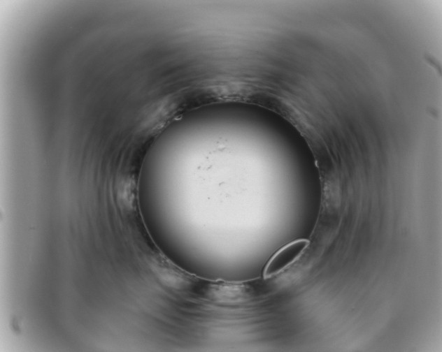 X0000096210671200801251036