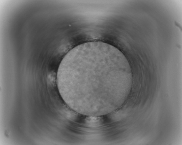 X0000096210672200801251036