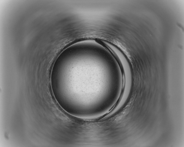 X0000096210673200801251035