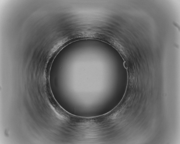 X0000096210674200801251035